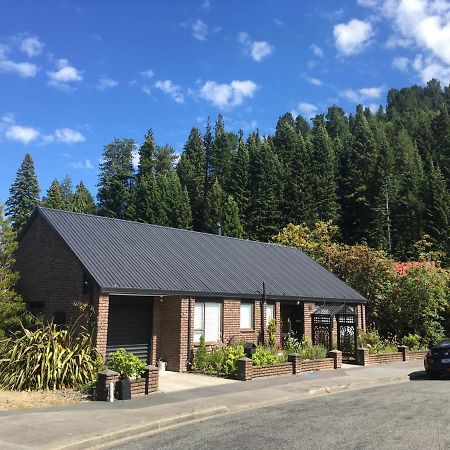 汉默温泉27 Alpine Avenue别墅 外观 照片